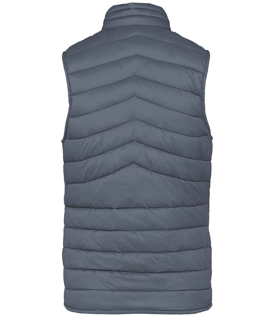 Native Spirit Ladies Light Recycled Bodywarmer Native Spirit