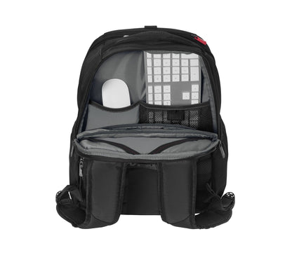 XE Professional