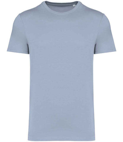 Native Spirit Unisex Heavyweight T-Shirt