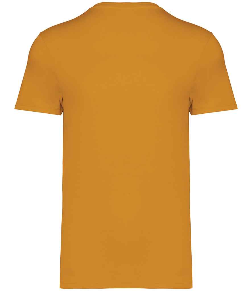Native Spirit Unisex Heavyweight T-Shirt