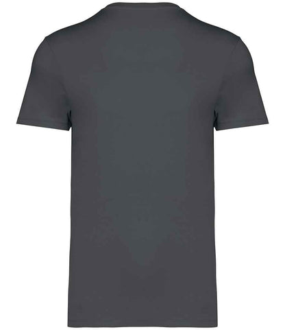 Native Spirit Unisex Heavyweight T-Shirt