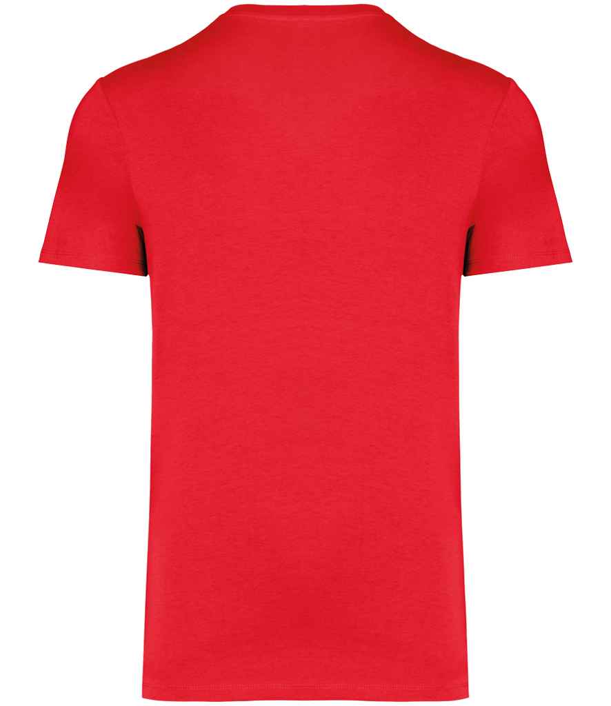 Native Spirit Unisex Heavyweight T-Shirt