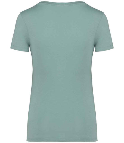 Native Spirit Ladies T-Shirt