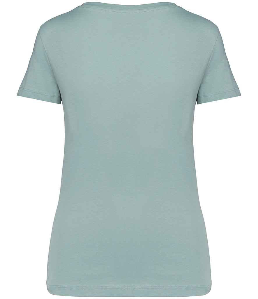 Native Spirit Ladies V Neck T-Shirt