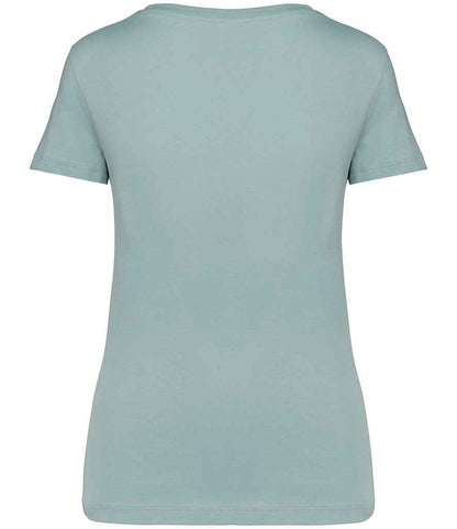 Native Spirit Ladies V Neck T-Shirt