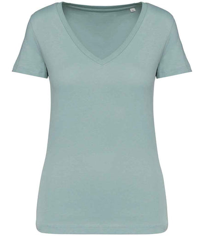 Native Spirit Ladies V Neck T-Shirt