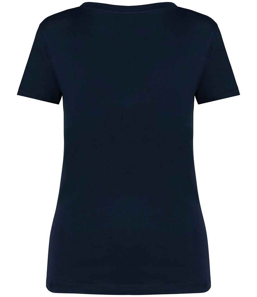 Native Spirit Ladies V Neck T-Shirt
