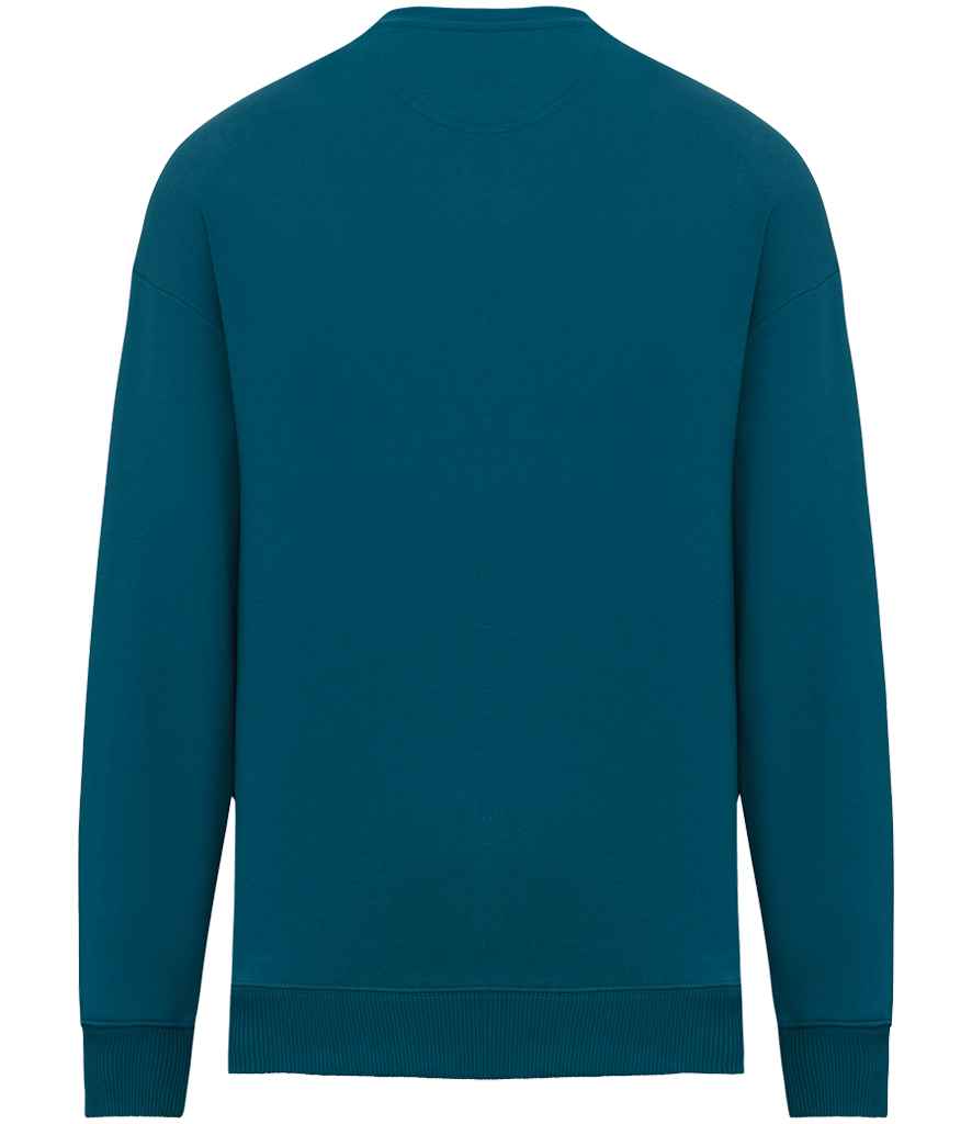 Native Spirit Unisex Oversized Sweatshirt