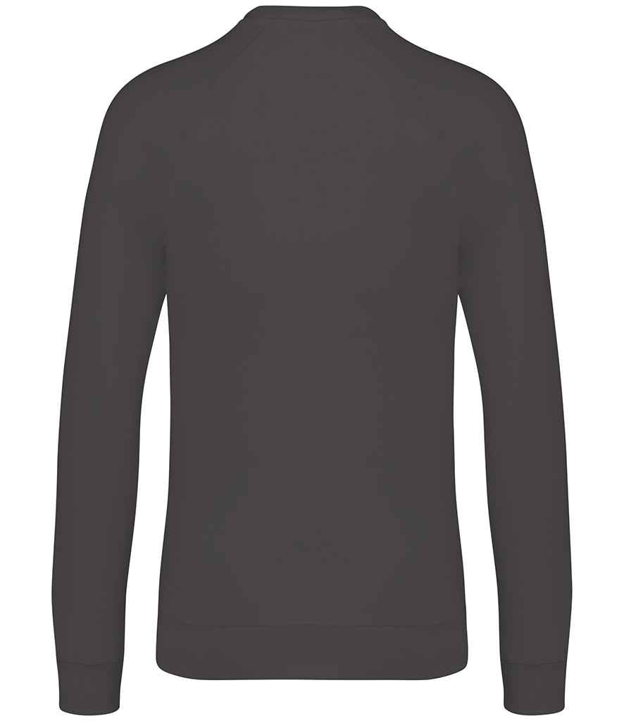 Native Spirit Unisex Raglan Sleeve Sweatshirt Native Spirit