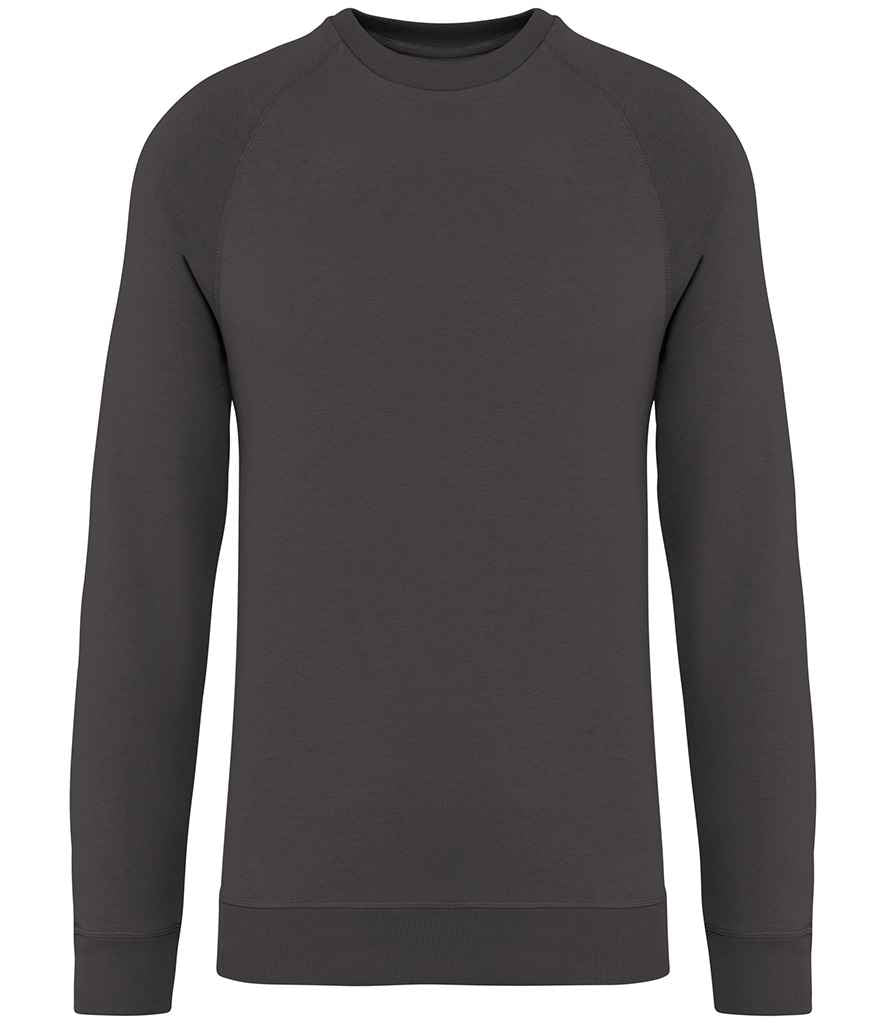 Native Spirit Unisex Raglan Sleeve Sweatshirt Native Spirit