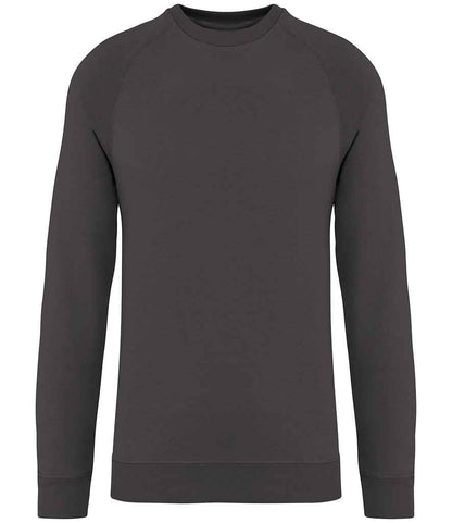 Native Spirit Unisex Raglan Sleeve Sweatshirt Native Spirit