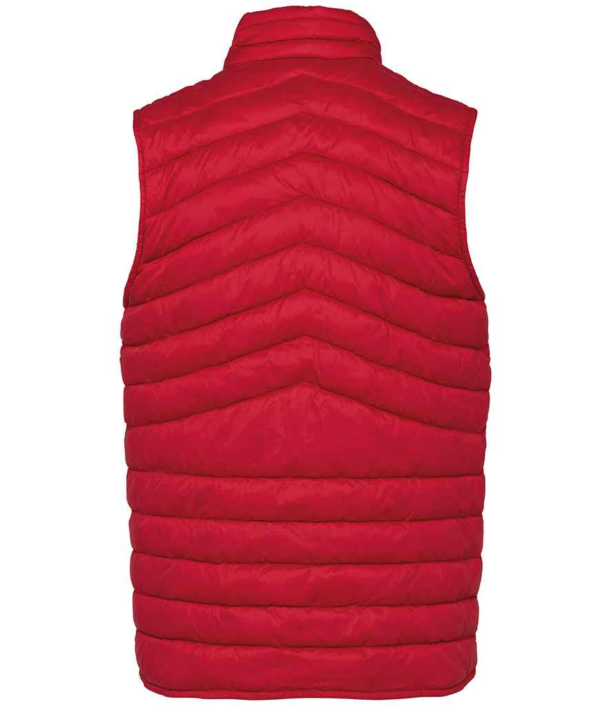 Native Spirit Light Recycled Bodywarmer Native Spirit