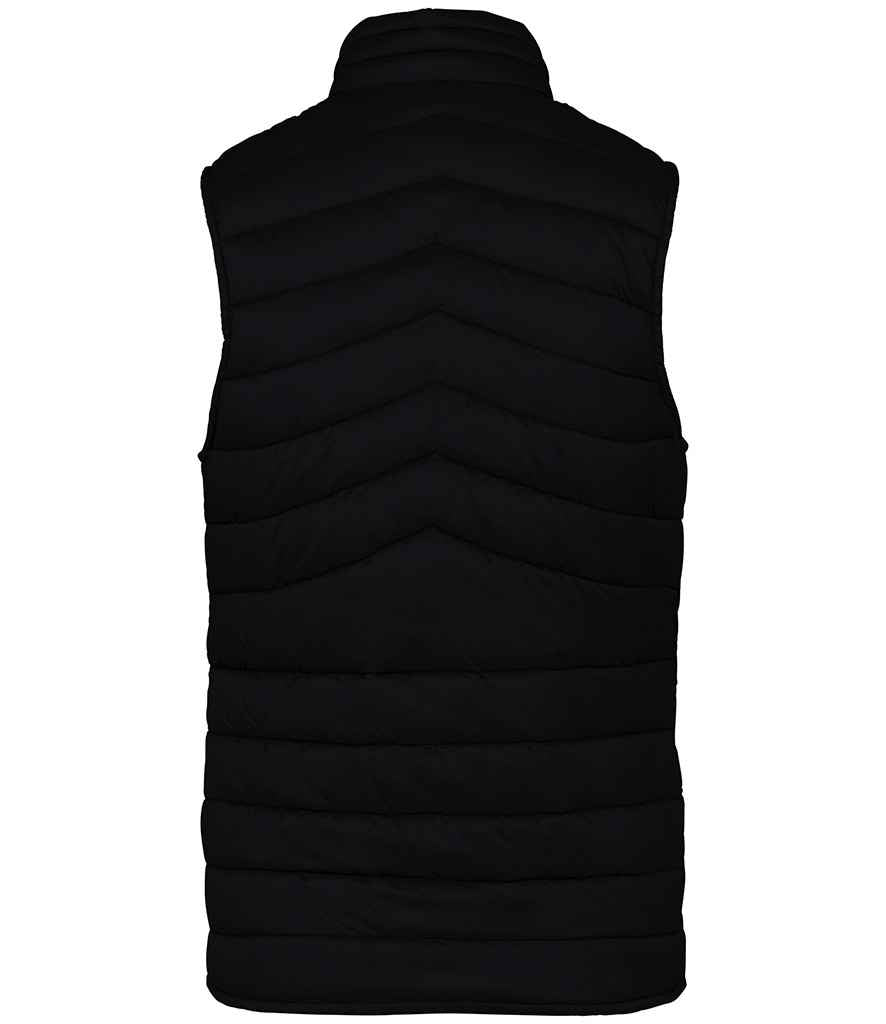 Native Spirit Ladies Light Recycled Bodywarmer Native Spirit