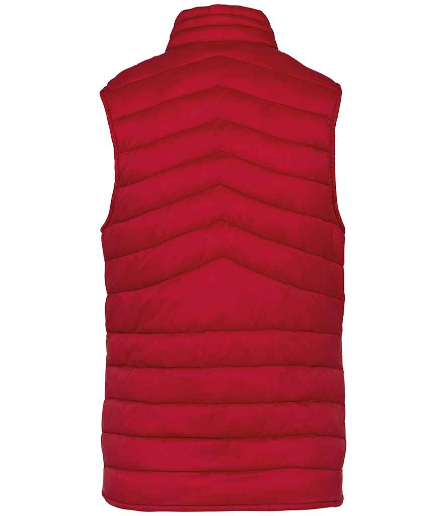 Native Spirit Ladies Light Recycled Bodywarmer Native Spirit