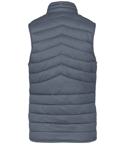 Native Spirit Ladies Light Recycled Bodywarmer Native Spirit