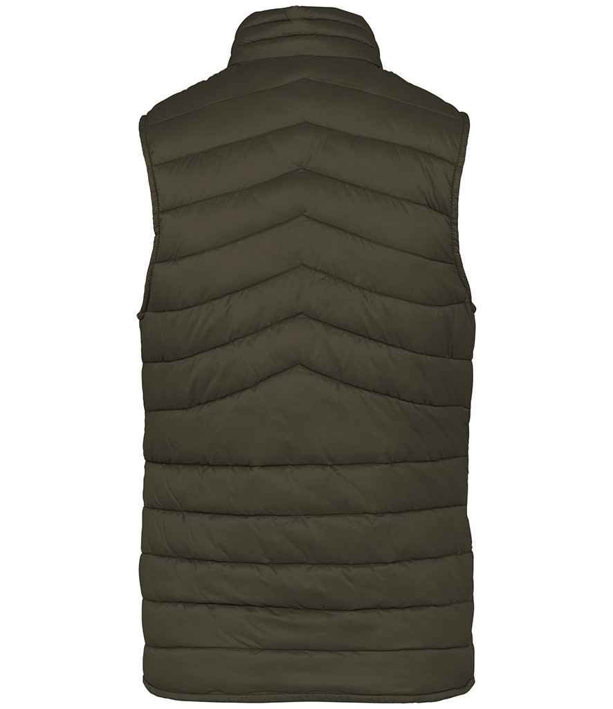Native Spirit Ladies Light Recycled Bodywarmer Native Spirit