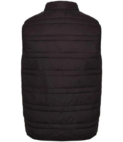 Regatta Firedown Insulated Bodywarmer Regatta Professional